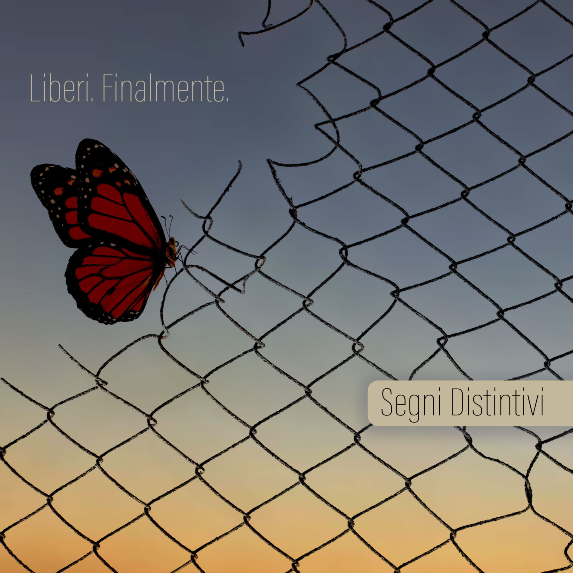 “liberi-finalmente.”-esce-oggi-il-secondo-album-dei-segni-distintivi